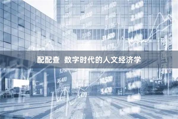 配配查  数字时代的人文经济学