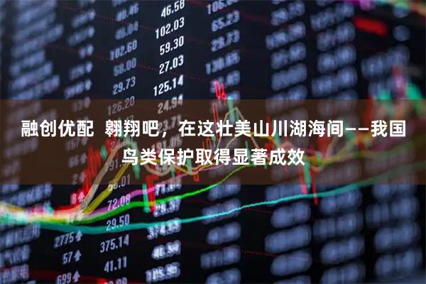 融创优配  翱翔吧，在这壮美山川湖海间——我国鸟类保护取得显著成效