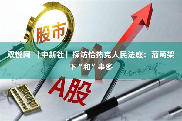 双悦网 【中新社】探访恰热克人民法庭：葡萄架下“和”事多