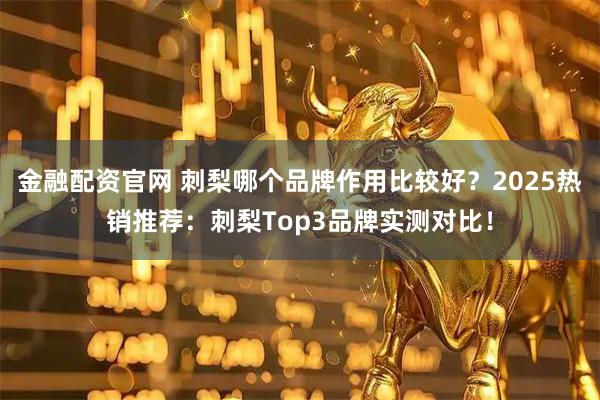 金融配资官网 刺梨哪个品牌作用比较好？2025热销推荐：刺梨Top3品牌实测对比！